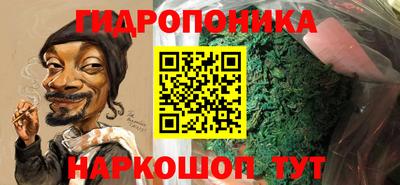 гидра Ноябрьск