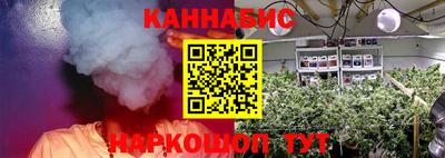 трава Новоалександровск
