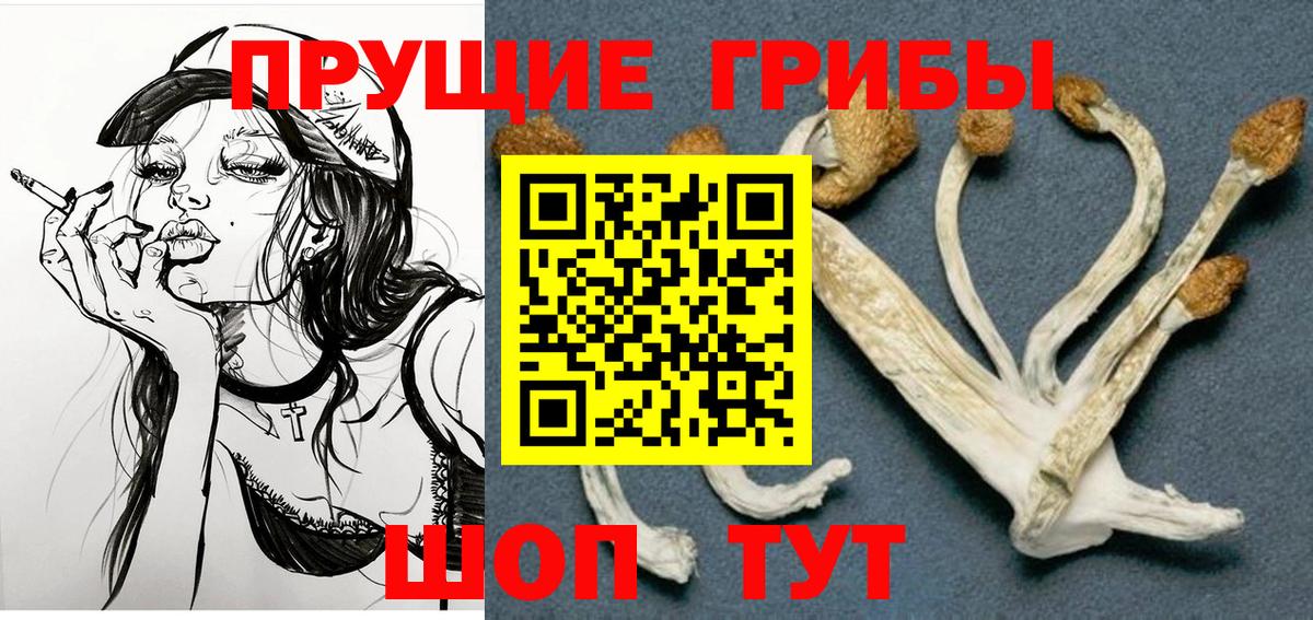 Галлюциногенные грибы прущие грибы Верхняя Салда