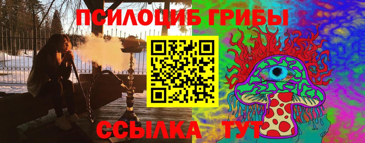 Галлюциногенные грибы GOLDEN TEACHER  Галлюциногенные грибы Cubensis  Верхняя Салда  Вход с VPN 